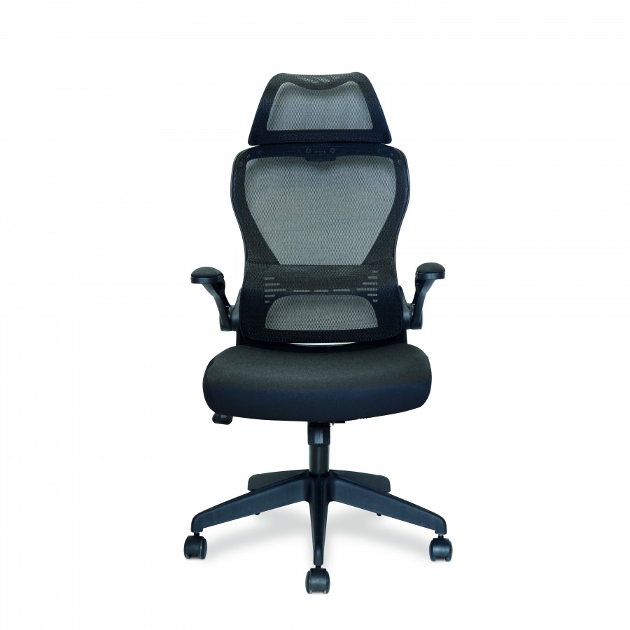 Canis High Back Mesh Office Chair